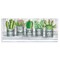 Stupell Industries Succulents with Plant Life Puns Wall Plaque Art